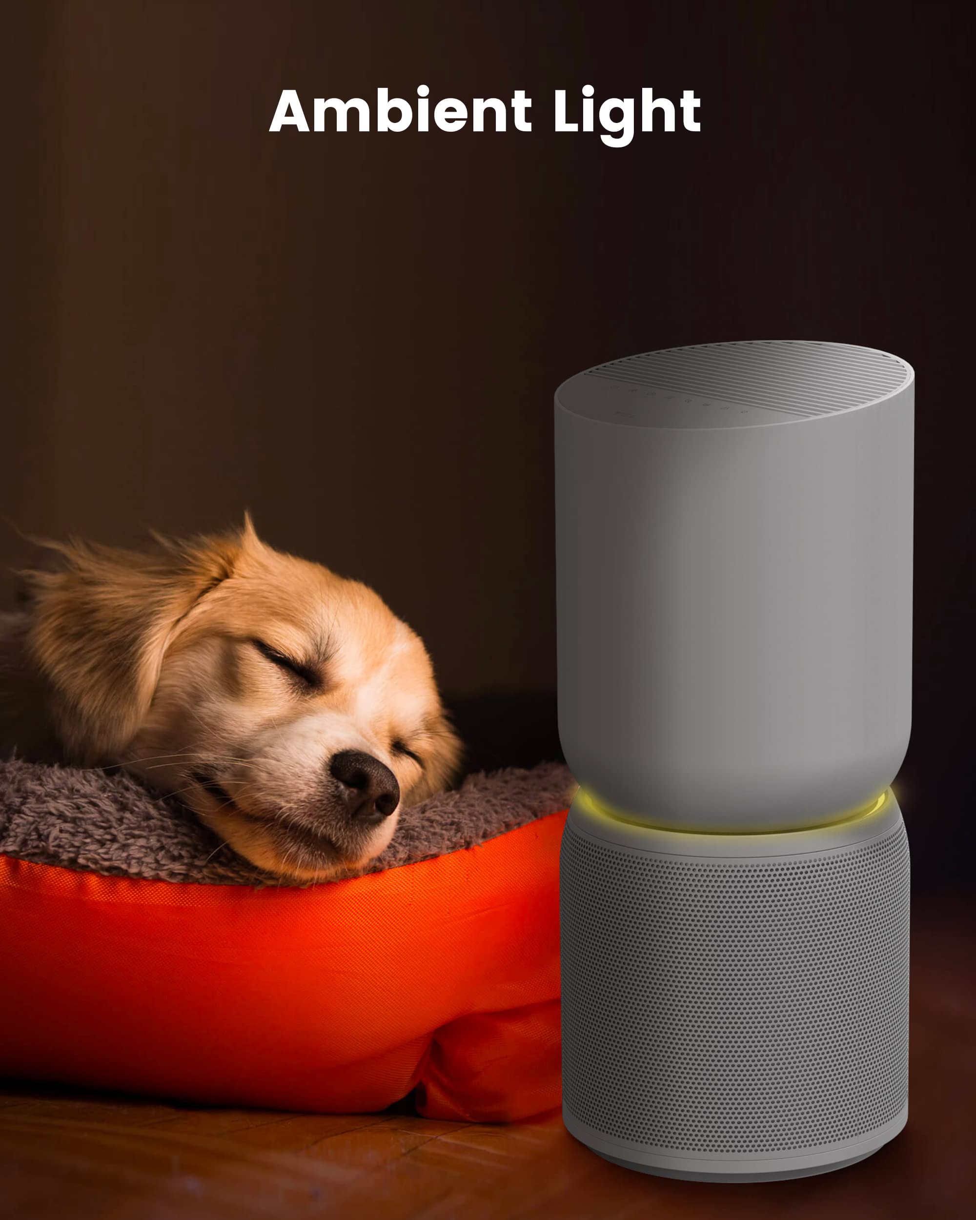 TCL Breeva Smart Air Purifier, True HEPA (H13), Removes 99.97% of Dust/Bacteria/Odors & More, App & Voice Control, Auto Shield, Quiet, White